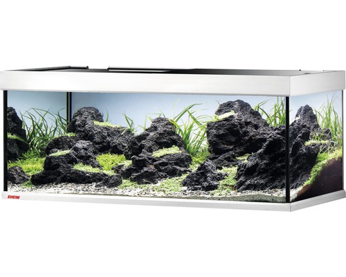 Aquarium avec plantes et pierres
