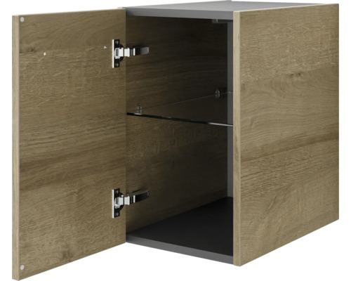 Armoire suspendue avec portes ouvertes et étagère en verre