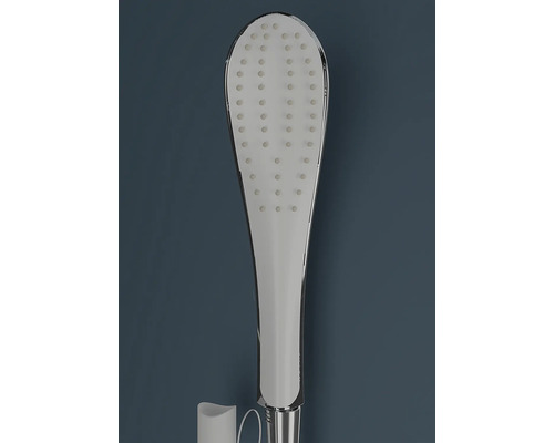 Douchette en plastique et métal