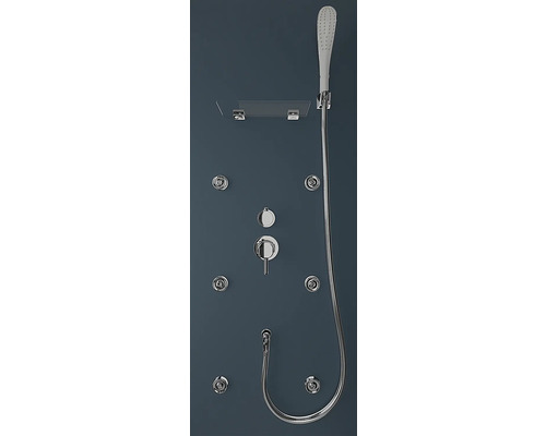 Duschpaneel mit Handbrause, Ablage und Massagedüsen