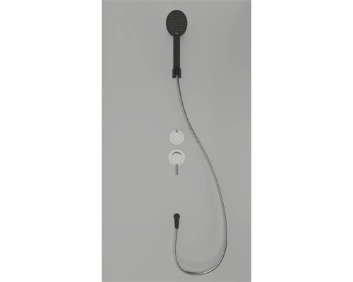 Handbrause mit Brauseschlauch und Wandanschluss