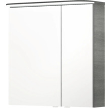 Armoire de toilette avec deux portes pour la salle de bain