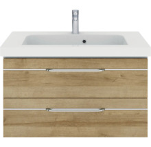 Meuble sous-lavabo avec deux tiroirs et lavabo