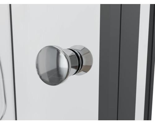 Poignée d''une porte de douche