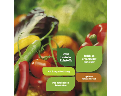 darmsanierung mit aloe vera Darmkur FLORA VIDA & Aloe Saft – WILD BABOON