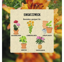 Illustration zum Anwendungsbereich verschiedener Pflanzenarten wie Balkonblumen, Sommerblumen, Jungpflanzen, Kräuter und Topfpflanzen.