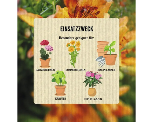 Illustration zum Anwendungsbereich verschiedener Pflanzenarten wie Balkonblumen, Sommerblumen, Jungpflanzen, Kräuter und Topfpflanzen.