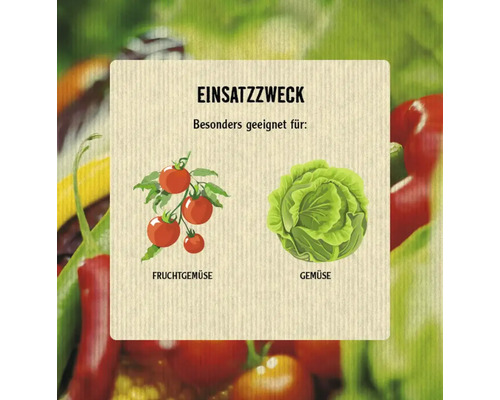 Illustration für den Einsatz von Tomaten als Fruchtgemüse und Kohl als Gemüse