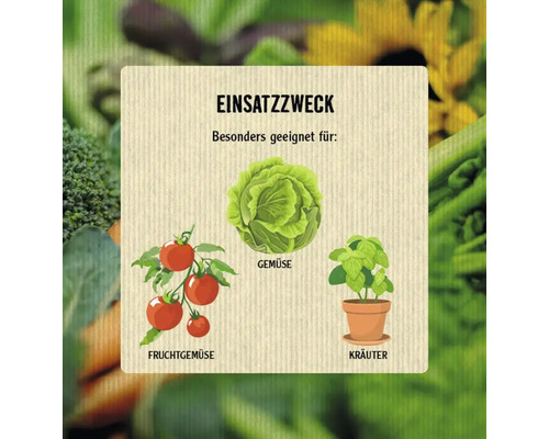 Illustration von Gemüse, Fruchtgemüse und Kräutern zur Verwendung