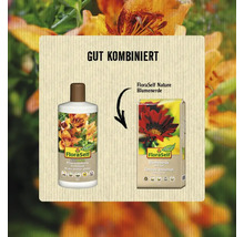 FloraSelf Nature Blumenerde und Flüssigdünger im Set