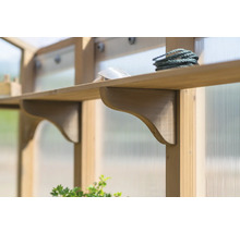Étagère en bois avec outils dans une serre