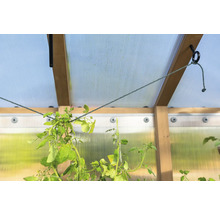 Vue intérieure d''une serre avec des plantes suspendues à des cordes