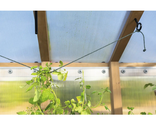 Vue intérieure d''une serre avec des plantes suspendues à des cordes