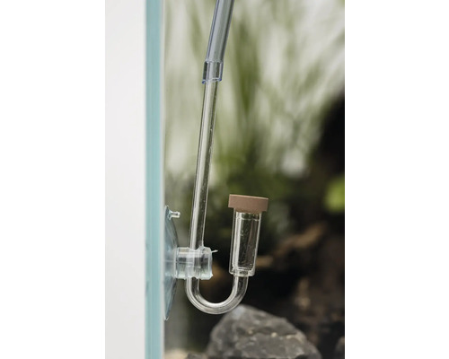 Diffuseur de CO2 pour aquarium avec ventouse pour fixation sur la vitre de l''aquarium