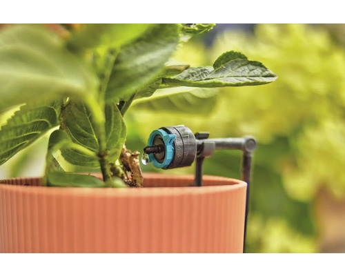 Arrosage goutte à goutte dans un pot pour une distribution d''eau dosée aux plantes