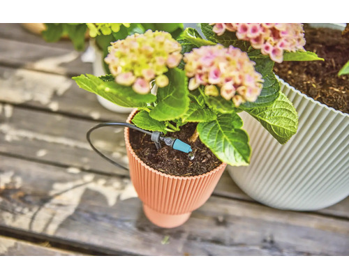 Pot de fleurs avec système d''irrigation et plante fleurie sur fond en bois