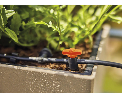 Tropfbewässerungssystem mit Regulierventil in einem Pflanzgefäß.