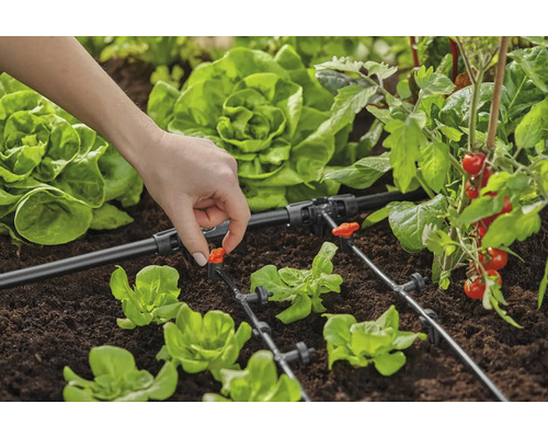 Gartenbewässerungssystem mit Tropfschlauch und Gemüsepflanzen im Beet