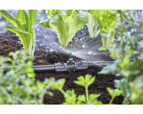 Système d''irrigation avec arroseur dans le potager