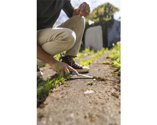 Eine Person entfernt Unkraut mit einem Unkrautstecher aus einem Pflasterweg.