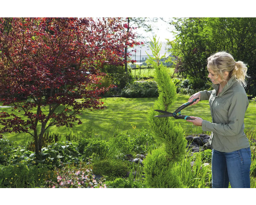 Une femme coupe une haie avec un taille-haie dans le jardin.