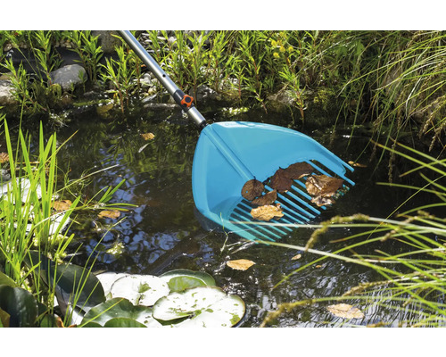 Teichreinigung mit einem Teichkescher im Gartenteich