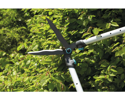 Heckenschere mit Teleskopstiel beim Schneiden einer Hecke