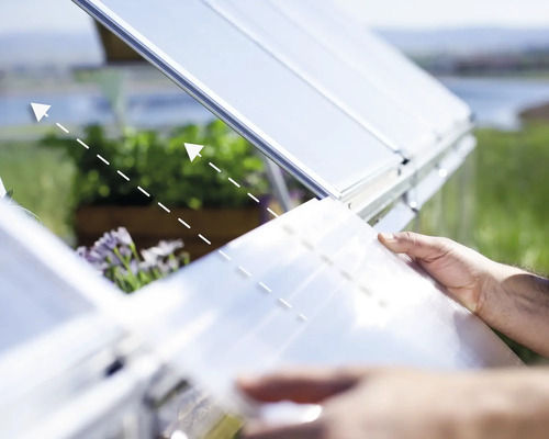 Une personne ouvre une fenêtre de serre pour l''aération.