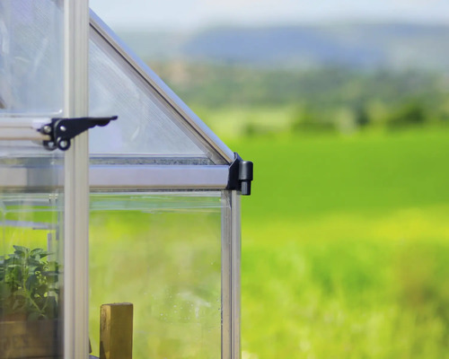 Vue détaillée d''une serre avec cadre en aluminium et plantes