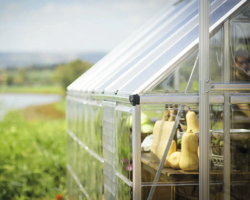Serre avec parois transparentes et plantes