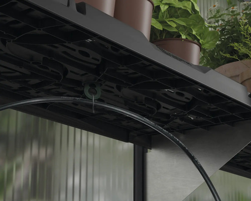 Vue détaillée d''une étagère noire avec des plantes et un tuyau d''arrosage dans la serre.