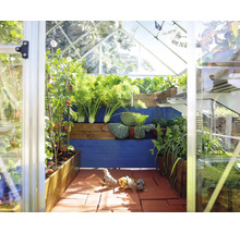 Vue intérieure d''une serre avec des plantes et des poussins