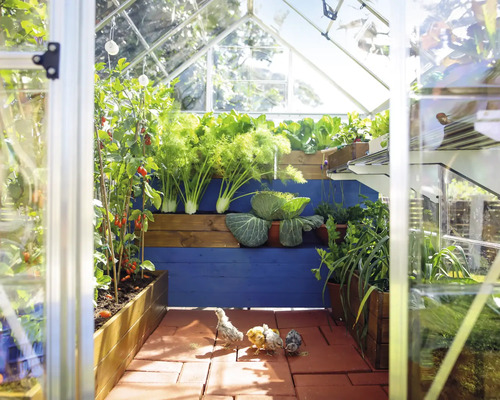 Vue intérieure d''une serre avec des plantes et des poussins