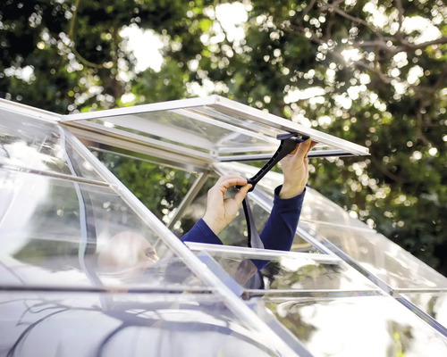 Une personne ouvre une fenêtre d''une serre pour l''aérer.