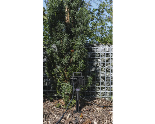 Gartensteckdose im Aussenbereich mit Stromkabel und Erdspiess neben einer Pflanze.