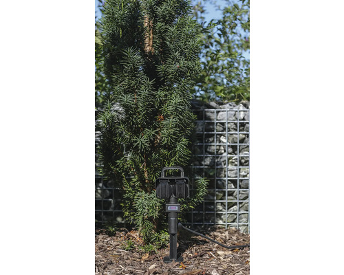 Automatische Gartenbewässerung neben einer Pflanze und einem Steingabionenzaun.