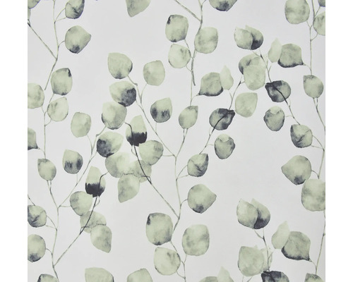 Papier peint avec feuilles d''eucalyptus