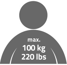 Symbole de capacité de charge maximale de 100 kilogrammes