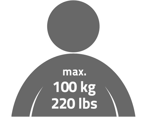 Symbole de capacité de charge maximale de 100 kilogrammes