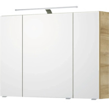 Armoire de toilette avec trois portes et éclairage