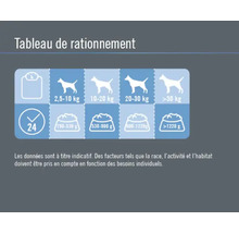 Tableau de rationnement pour chiens par poids et besoins quotidiens