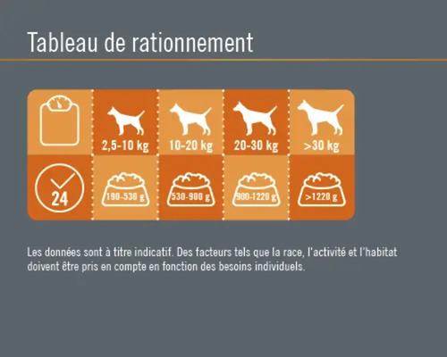 Tableau d''alimentation pour chiens indiquant le poids et la quantité de nourriture