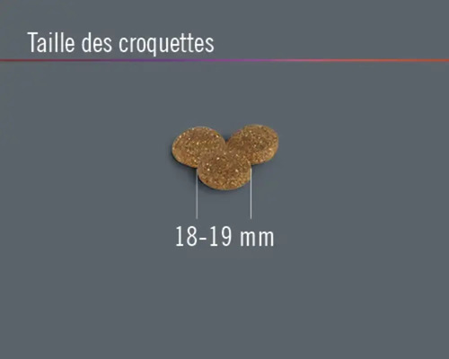 Taille des croquettes : 18 à 19 millimètres