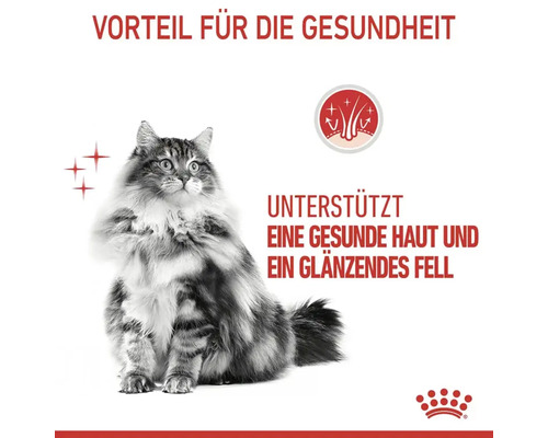 Katze mit glänzendem Fell, Produktvorteil für gesunde Haut und Fell
