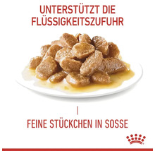 Katzenfutter mit feinen Stückchen in Soße auf einem Teller