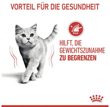 Katze geht, Text sagt Vorteil für die Gesundheit, hilft Gewichtszunahme zu begrenzen