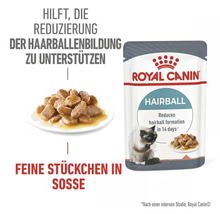 Royal Canin Katzennahrung zur Reduzierung von Haarballenbildung, feine Stueckchen in Sosse