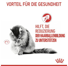 Vorteile für die Gesundheit durch Unterstützung der Reduzierung der Haarballenbildung