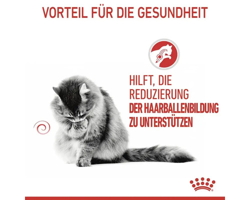 Vorteile für die Gesundheit durch Unterstützung der Reduzierung der Haarballenbildung