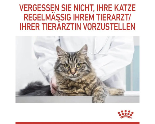 Eine Katze wird von einem Tierarzt untersucht. Text: Vergessen Sie nicht, Ihre Katze regelmäßig Ihrem Tierarzt oder Ihrer Tierärztin vorzustellen.